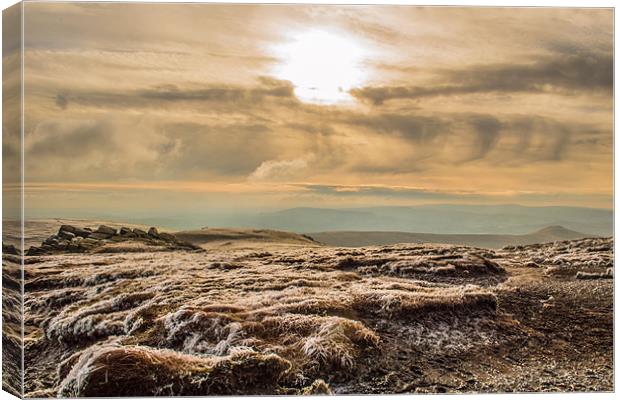 Winter Sun Canvas Print by Phil Tinkler