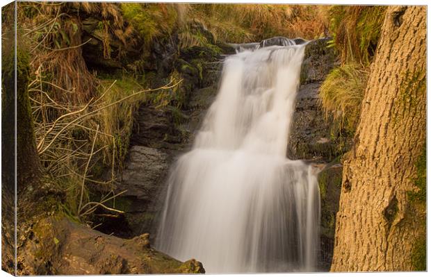 Crowden Clough Waterfall Canvas Print by Phil Tinkler