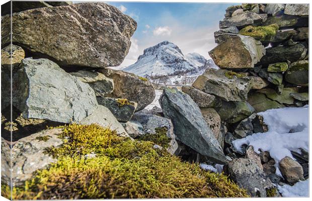 Moss and Mountains Canvas Print by Phil Tinkler