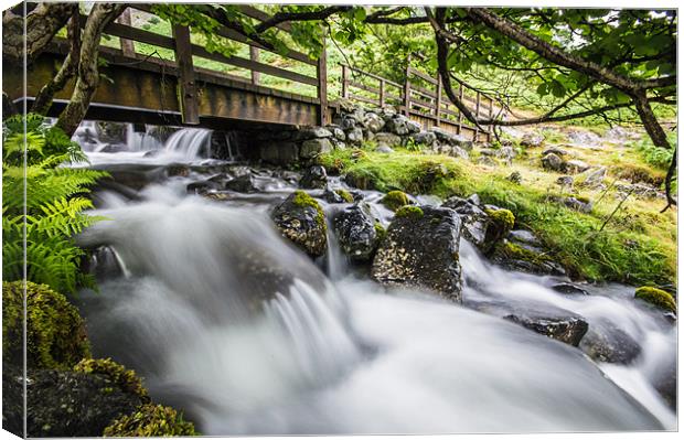 Little Gatesgarthdale, Lake District Canvas Print by Phil Tinkler