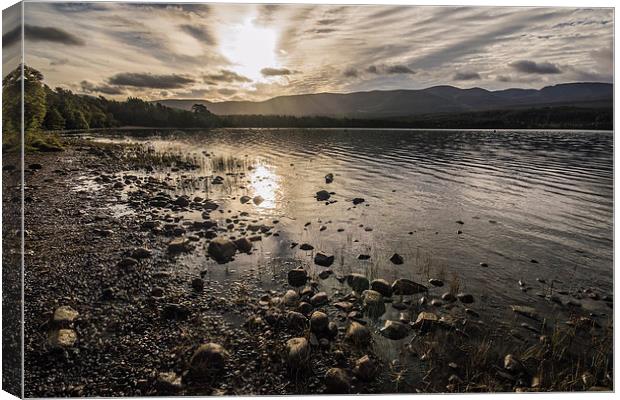 Sunrise over Loch Morlich, Cairngorms Canvas Print by Phil Tinkler