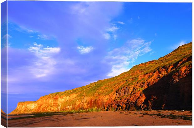 Golden cliffs of Saltburn Canvas Print by andrew pearson