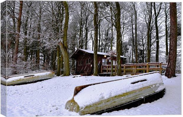 Snowy fishing lodge Canvas Print by andrew pearson