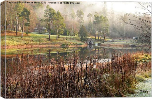 Misty winter morning. Cragside House & Manor,Nort Canvas Print by andrew pearson