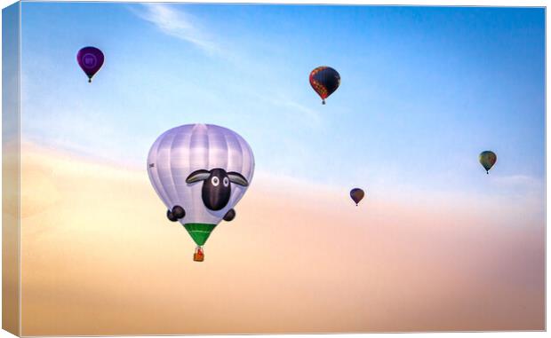 Hot Air Balloons Canvas Print by Graeme B