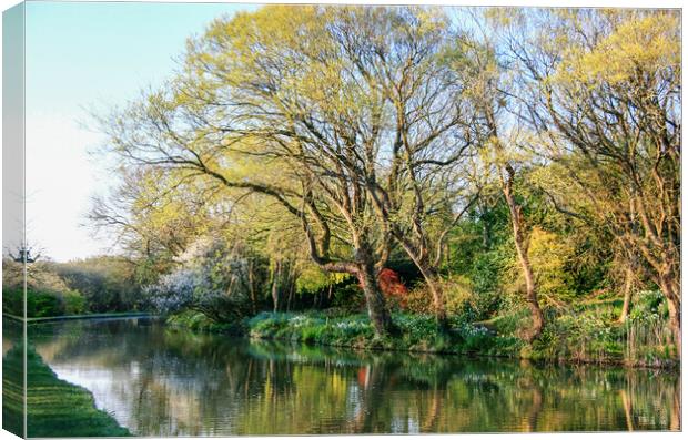 Beautiful Spring Tree Colours and  Reflections In  Canvas Print by Dave Bell