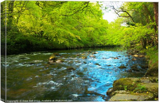 The River Dart Flows Wide in The Spring at Spitchw Canvas Print by Dave Bell