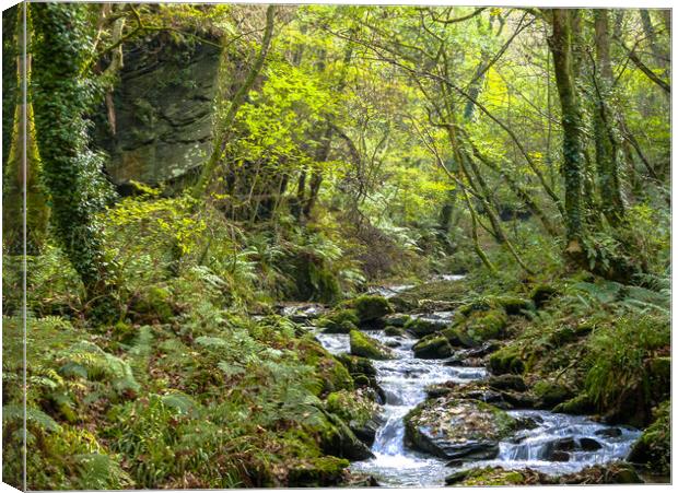 Forest Stream Flowing Through a Glade Canvas Print by Dave Bell