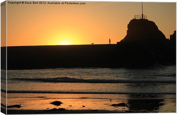 Man and Dog Bude Breakwater Canvas Print by Dave Bell
