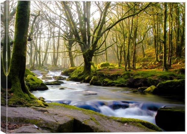 Spring at Golitha Falls Canvas Print by Dave Bell