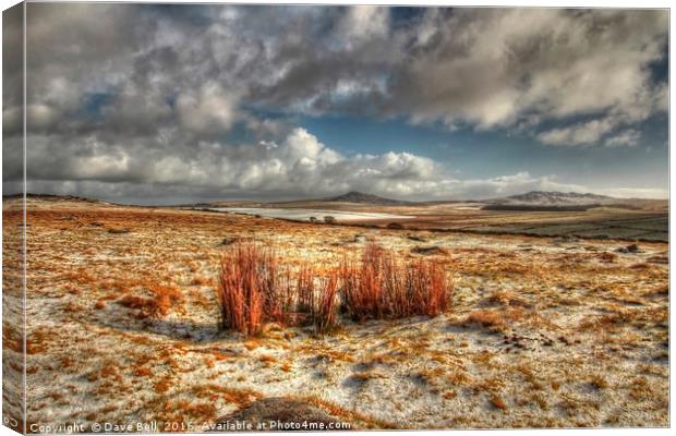 Bodmin Moor Snow Canvas Print by Dave Bell