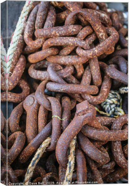 Rusty Chain Canvas Print by Dave Bell