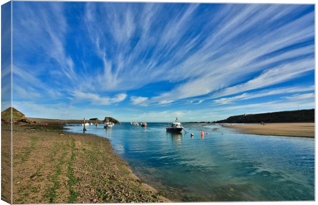 Blue Waters Canvas Print by Dave Bell