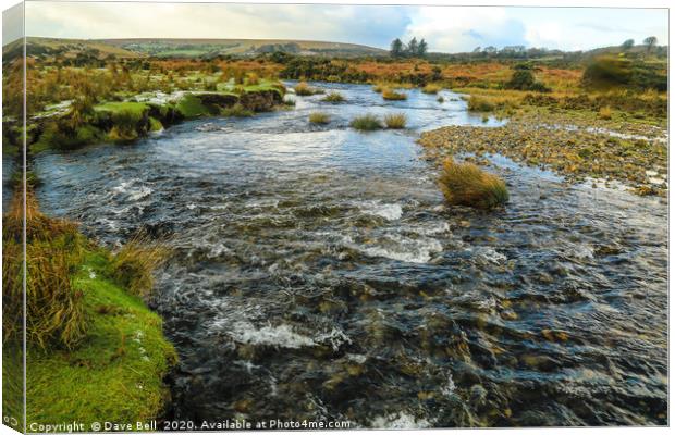 Dartmoor River Canvas Print by Dave Bell