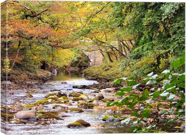 Bridge over the river Dart Canvas Print by Dave Bell