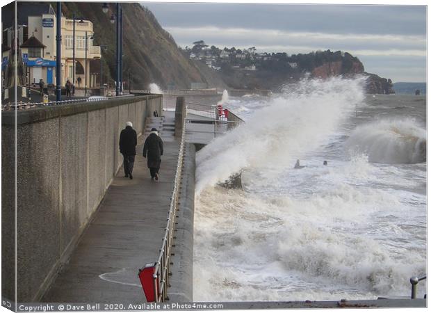 Wild Sea Canvas Print by Dave Bell