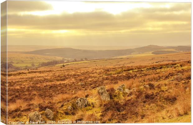 Moorland Canvas Print by Dave Bell