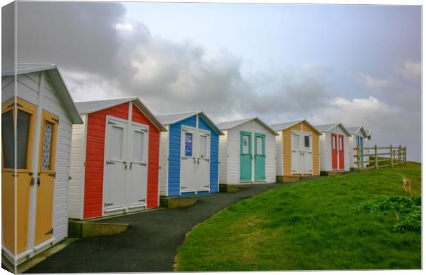 Curving Beach Huts Canvas Print by Dave Bell