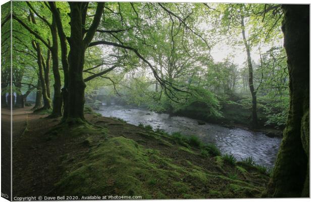 Woodlands and River Canvas Print by Dave Bell
