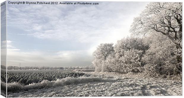 Another Frosty Morning Canvas Print by Glynne Pritchard