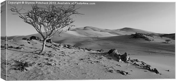 Desert Highway Canvas Print by Glynne Pritchard