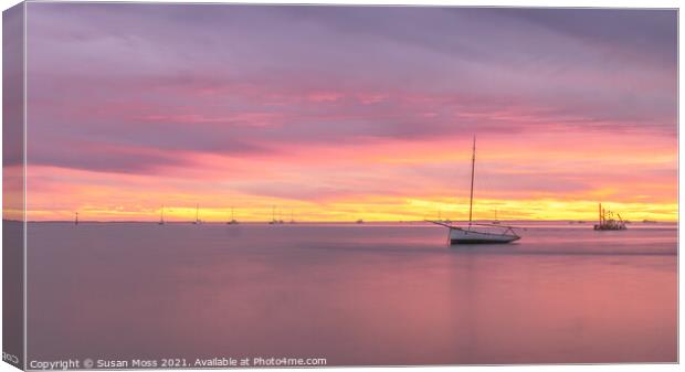 Serene Sunset at Denham north Western Australia Canvas Print by Susan Moss