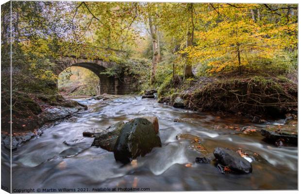 Autumn at May Beck, Sneaton Forest near Whitby Canvas Print by Martin Williams