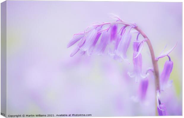 Bluebell  Canvas Print by Martin Williams