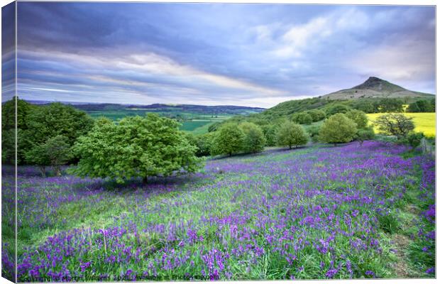 Bluebells at Roseberry Topping Canvas Print by Martin Williams