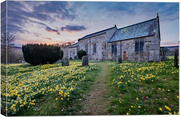 Spring daffodils at St Mary's church in Farnedale, North Yorkshi Canvas Print by Martin Williams