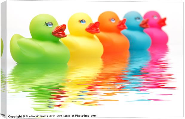 Rainbow Ducks Canvas Print by Martin Williams