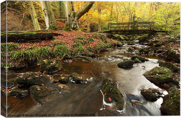 Sneaton Forest, North York Moors Canvas Print by Martin Williams