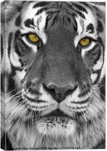 Big Cat Canvas Print by Martin Williams