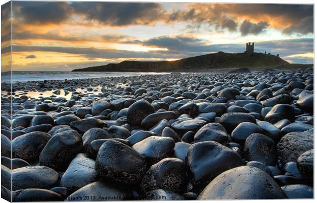 Dunstanburgh Castle, Northumberland Canvas Print by Martin Williams