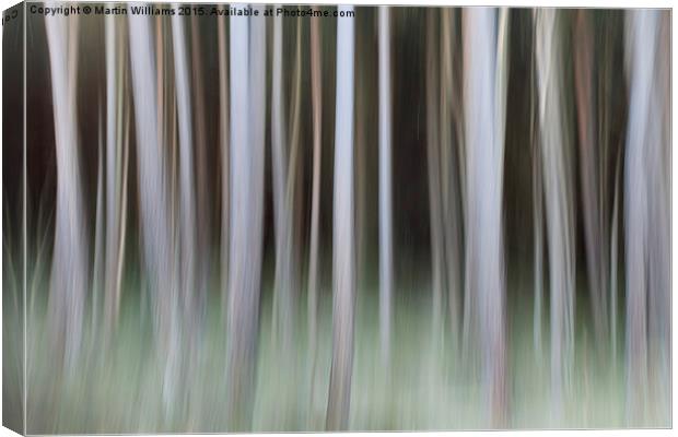  Forbidden Forest Canvas Print by Martin Williams