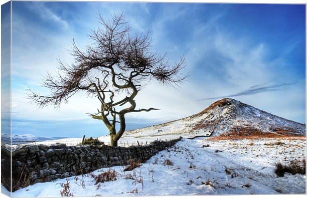 Winter at Roseberry Topping, North Yorkshire Canvas Print by Martin Williams