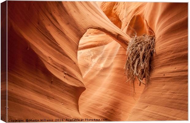 Rattlesnake Canyon, Page, Arizona Canvas Print by Martin Williams