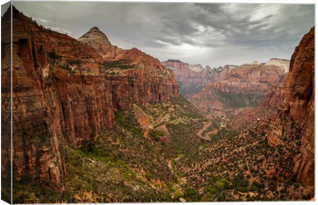 Zion Park from Canyon Overlook viepoint Canvas Print by Martin Williams
