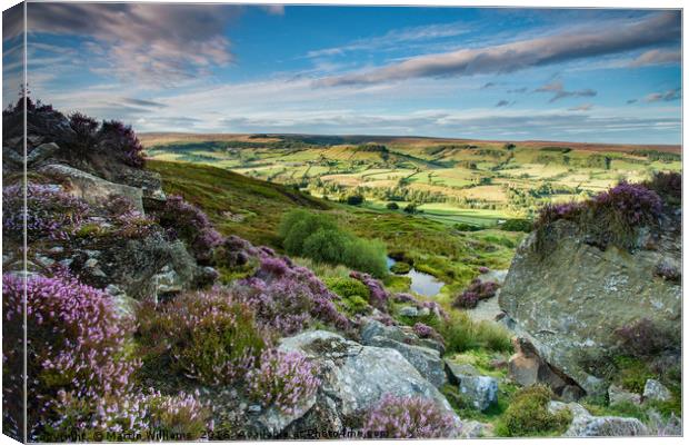 Rosedale, North York Moors  Canvas Print by Martin Williams