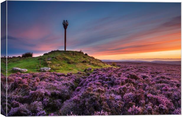 Danby Beacon, North York Moors  Canvas Print by Martin Williams