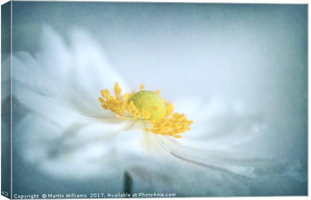 Japanese Anemone Canvas Print by Martin Williams