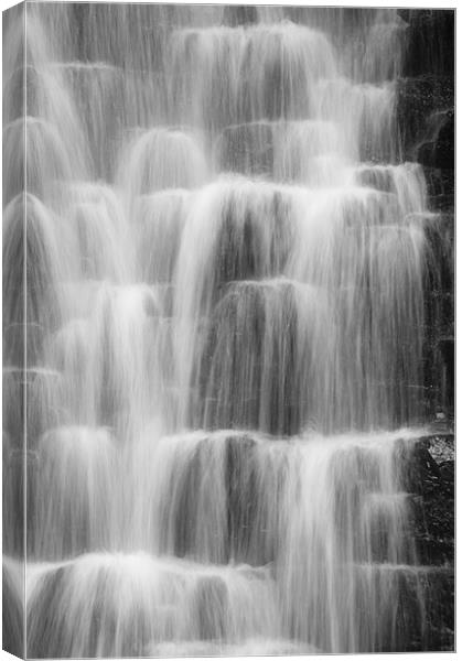 Falling Foss, North Yorkshire Canvas Print by Martin Williams