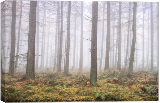 Misty Wood Canvas Print by Martin Williams