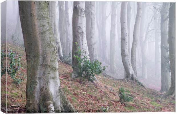 Misty Wood Canvas Print by Martin Williams