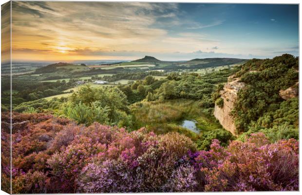 Evening at Cockshaw Hill, Roseberry Topping Canvas Print by Martin Williams