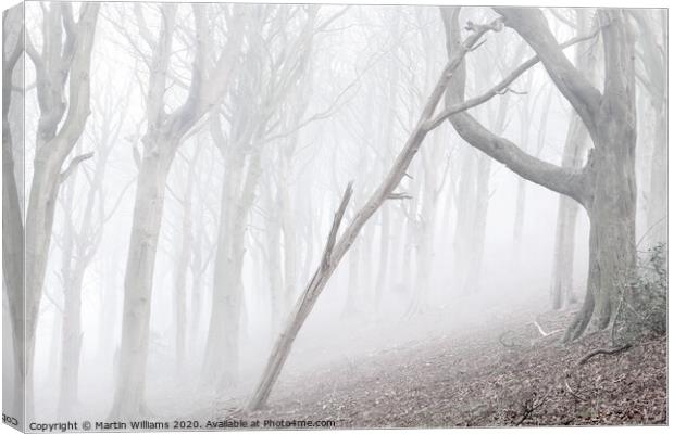 Lean on Me Canvas Print by Martin Williams