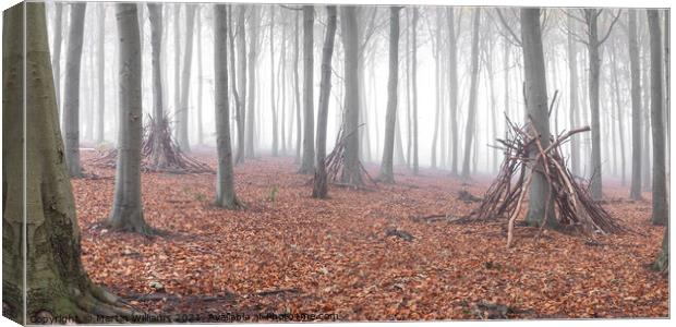 Dens in the wood Canvas Print by Martin Williams