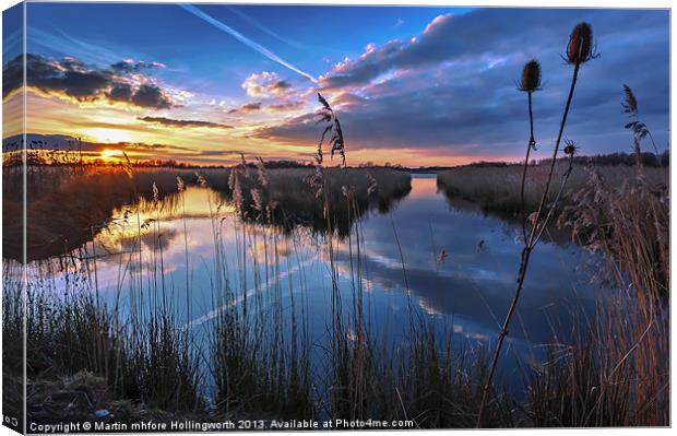 Reeds & Reflections Canvas Print by mhfore Photography