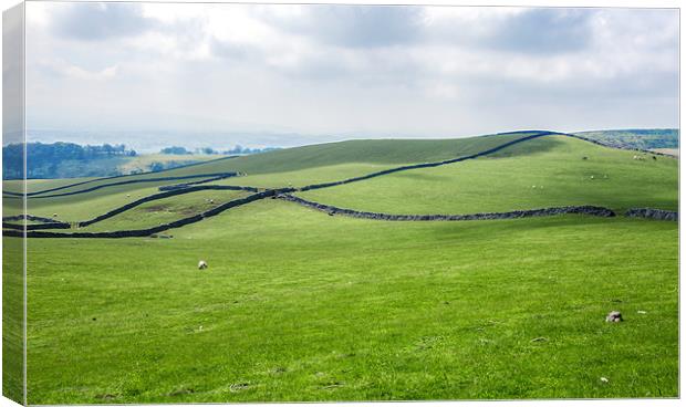 The Dales Canvas Print by Jonathan Parkes