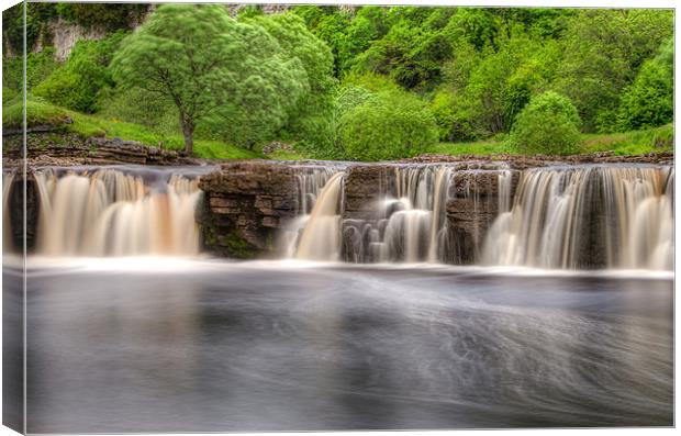 In the Dales Canvas Print by Jonathan Parkes